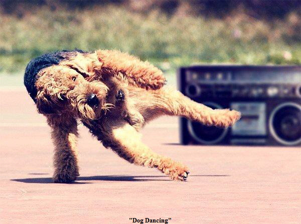 Dog-Dancing